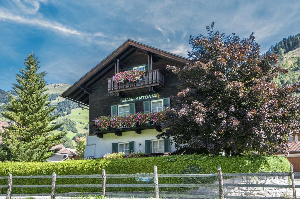 Ferienhaus Antonia Dorfgastein Exteriér fotografie